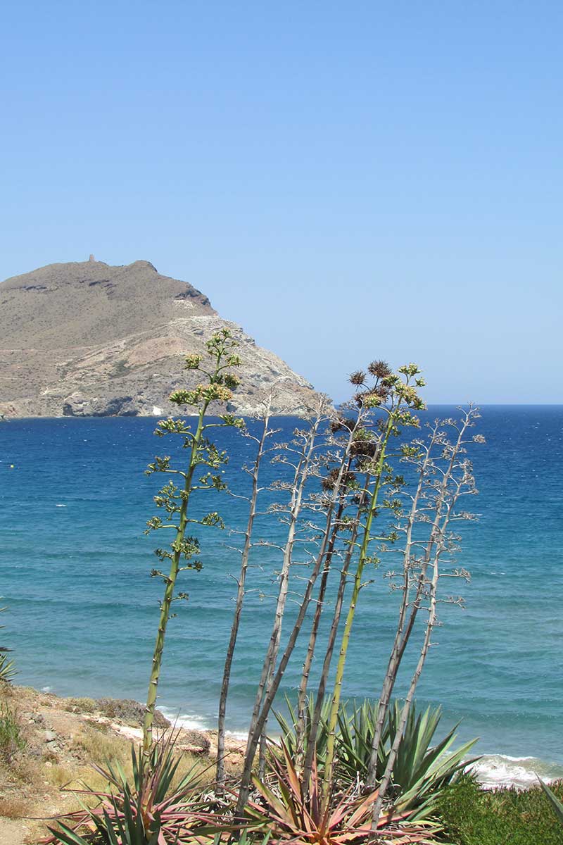 Cabo de Gata